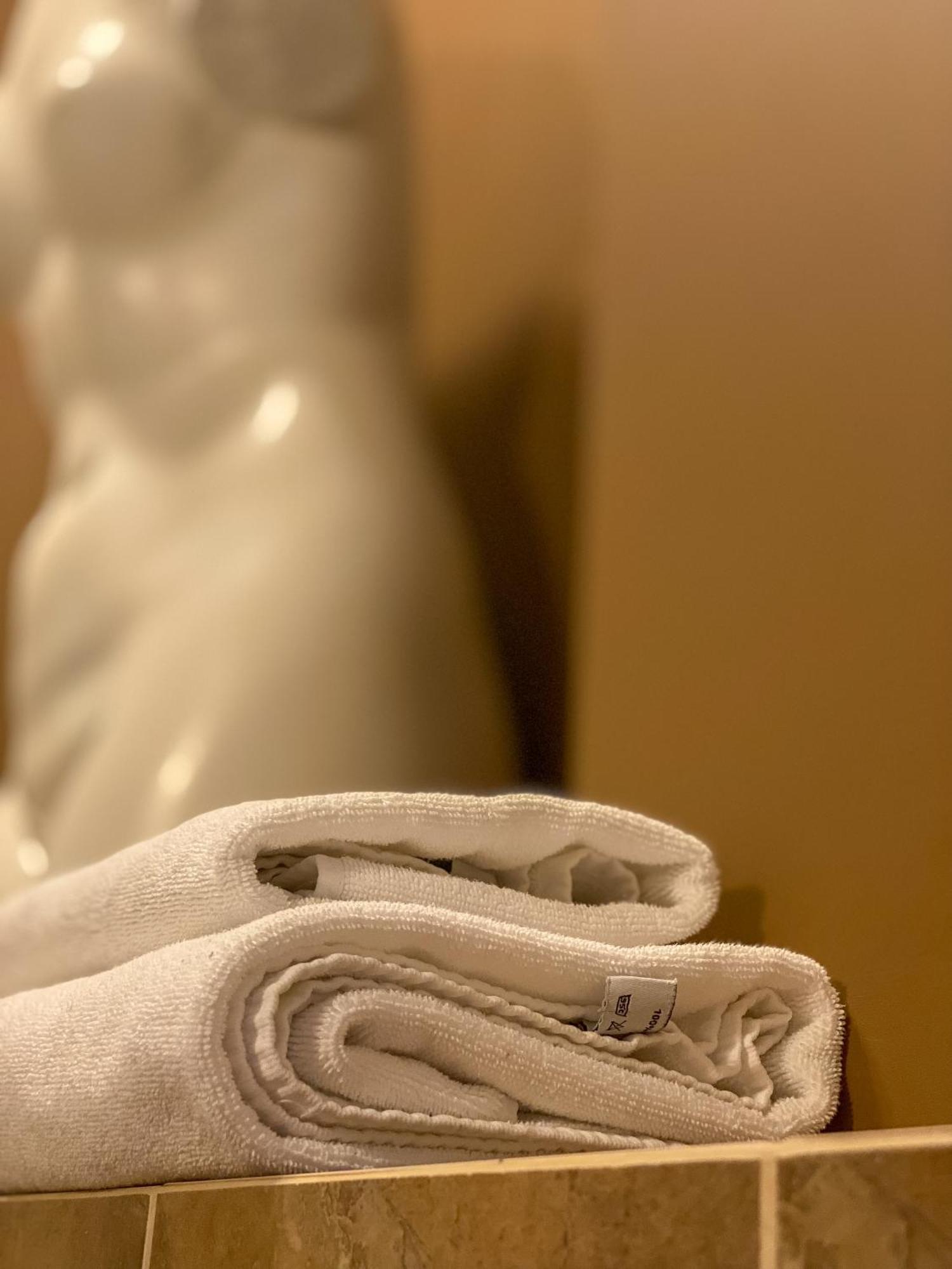 Riverside Apartments Thalia カルロヴィ・ヴァリ 部屋 写真